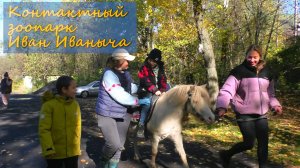 Контактный зоопарк Иван Ивановича