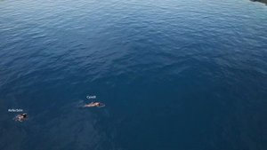 SCUM 0.95. Ивент "Мегазаплыв" на сервере GTDx4 hardcore PVE.