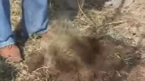 Ручной культиватор и корнеудалитель Торнадо