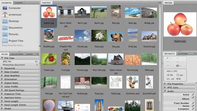 0106 Touring the Adobe Bridge Interface смотреть онлайн