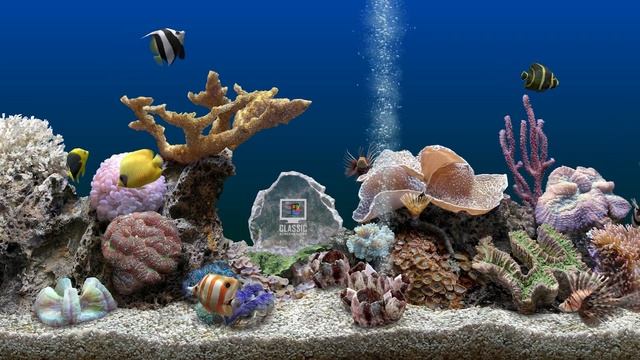 Windows Vista Screensaver - Marine Aquarium 3 [With Sound] (4k) смотреть онлайн