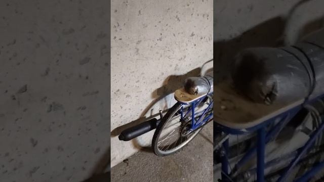 центробежная сцепление и многое другое смотреть онлайн