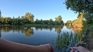 Graphiteleader 21 Bellezza Prototype 21GBLZPS 582SUL T