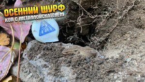 РАЗРЫЛИ ОЧЕРЕДНУЮ ПОМОЙКУ|КОП С МЕТАЛЛОИСКАТЕЛЕМ