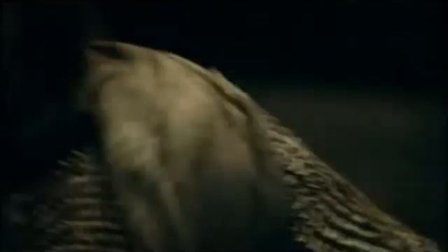 Aragorn + Legolas - Breath смотреть онлайн