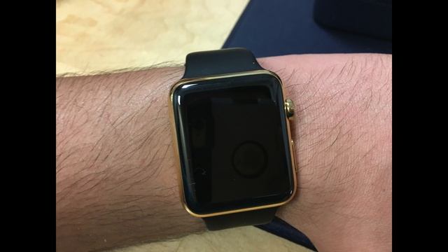 Apple Watch Edition Review