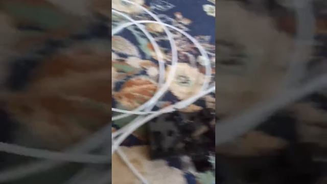 24 июля 2019 г. смотреть онлайн