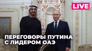 Путин провел переговоры с президентом ОАЭ в преддверии саммита БРИКС