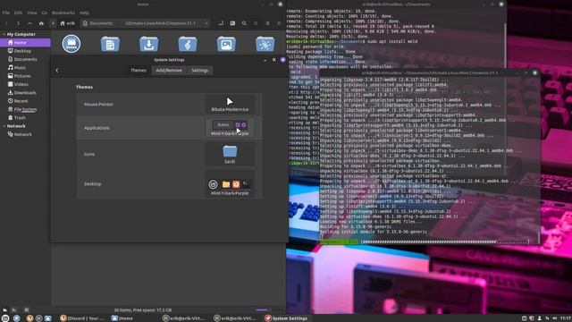 ArcoLinux : 3191 Visiting Linux Mint Cinnamon - ricing script