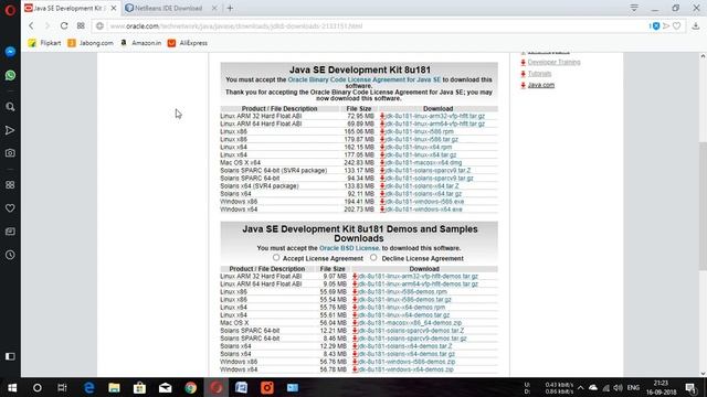 How to download Jdk 8.1 and NetBeans Ide 8.2 смотреть онлайн
