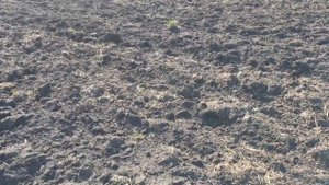Самодельная сцепка борон в роботе