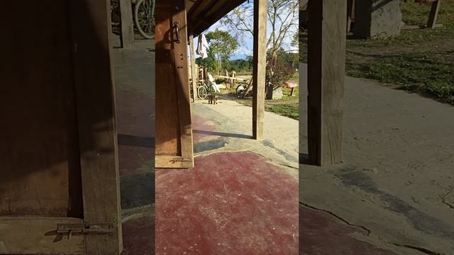 #ARUNACHAL PRADESH TBT# WEDNESDAY 26 December 2018 at 10:13 AM смотреть онлайн