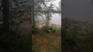 Домик с баней на острове озера Сегозеро