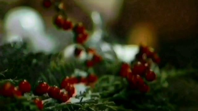 НИНО ХИТРОЕ ЗОЛОТОЕ РУНО. ПИРАТСКАЯ ЖИЗНЬ. ОБЗОР ВЛОГА.