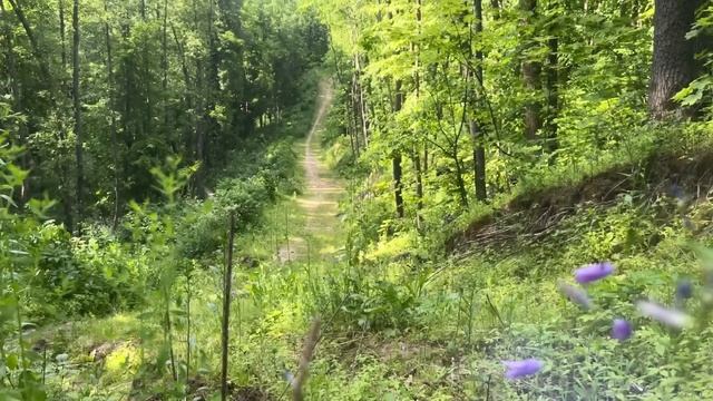 Беспечный ангел (под гитару) смотреть онлайн