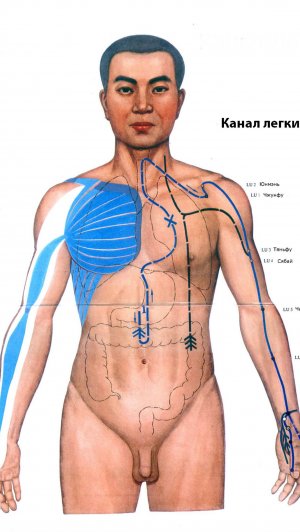 Меридианный массаж канала легких