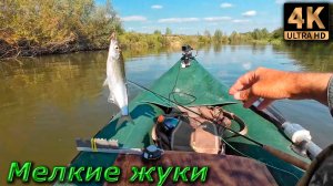 Нахлыст. Лодка. Мелкие жуки...