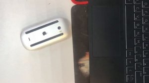 Мышь Apple 2