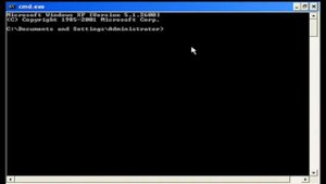 windows XP professional kill screen (Bad ending)
