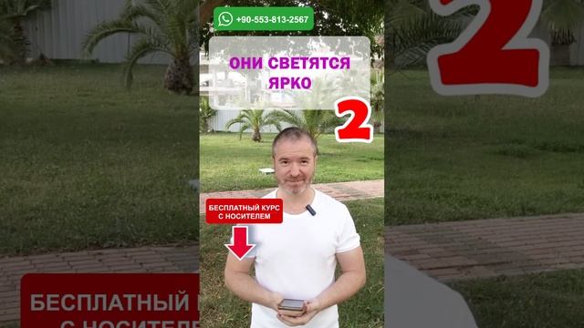 Тренажёр 136: Освойте английский язык за несколько уроков