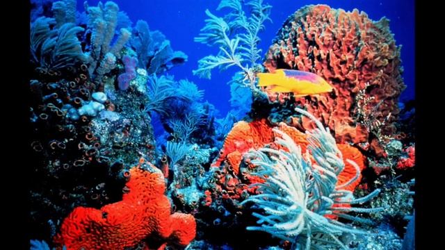 I Got Final Cut Pro (Free Trial.) смотреть онлайн