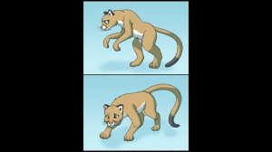 Cougar Transformation / Cougar TFTG