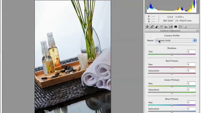 photoshop cs4 Camera Profiles.mp4 смотреть онлайн