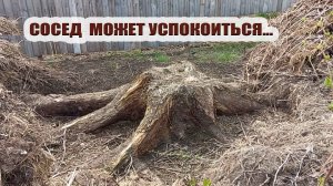 Сосед уже может успокоиться и не подглядывать. Я очень старалась