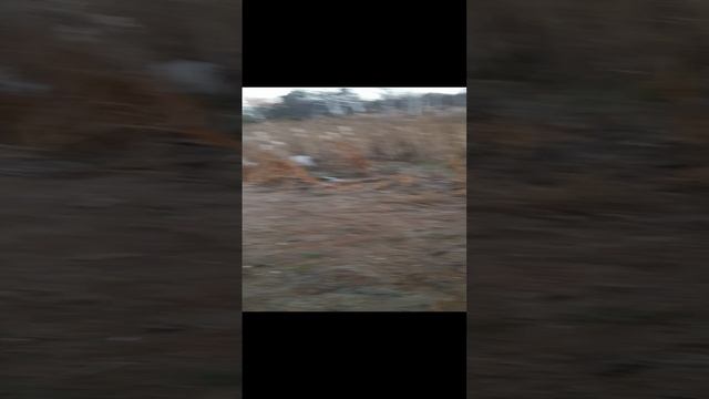 Озеро Малый Тараскуль