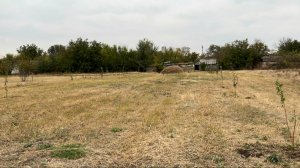 Посадил фруктовый сад| бизнес в деревне с нуля