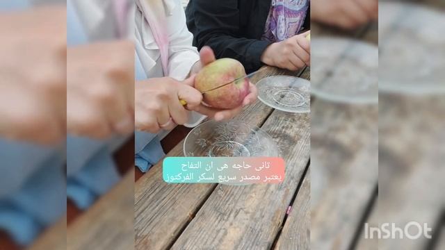 An apple a day keeps the doctor away 🍎🌿🤍. смотреть онлайн