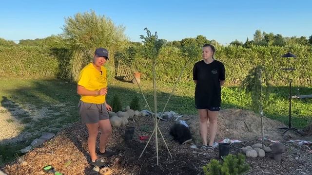 Хакуро Нишики из 4-х штамбов. Мастер-класс. Русская ива. смотреть онлайн