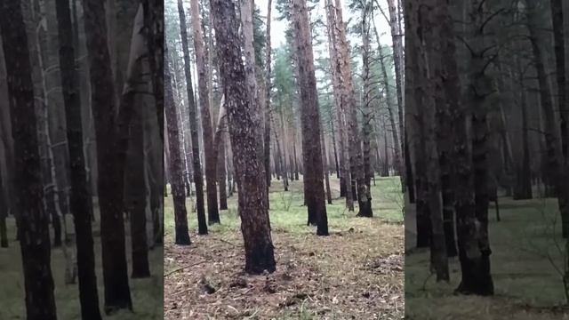 Воложанин Александр позывной Якудза. Спецназ Ахмат. Якудза 🤙 на связи