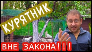 Курятник дома под ЗАПРЕТОМ! Моя мини ферма вне закона.