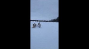 Скважину затампонировали, идем дальше.