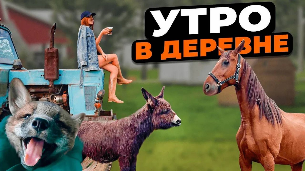 МОЁ УТРО В ДЕРЕВНЕ С ЖИВОТНЫМИ | Жизнь в деревне