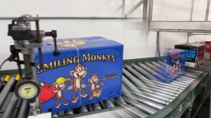 Introducing Our New Color Smiling Monkey Apples Box! August 18th!