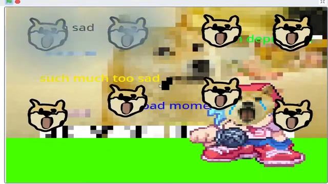 doge infection full week on scratch