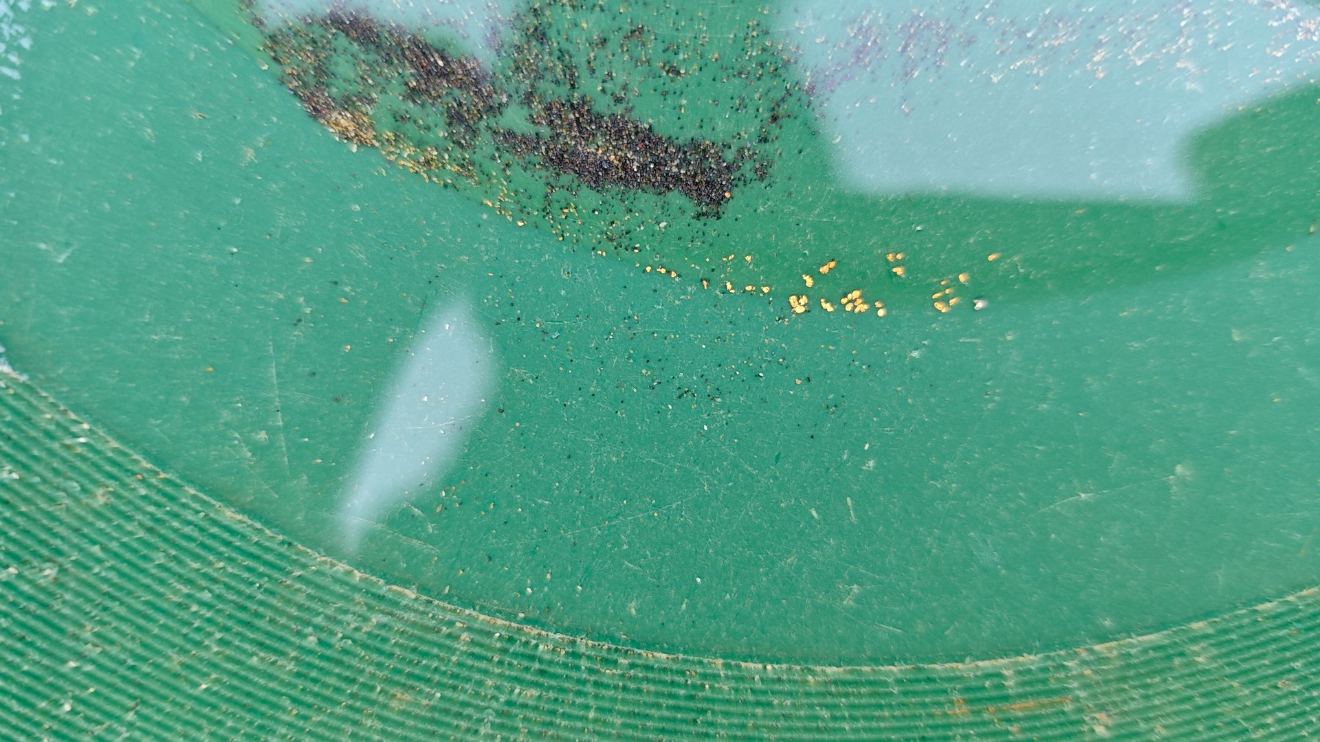 За золотом в зимний лес смотреть онлайн