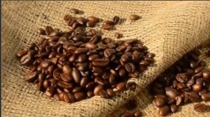 Самая удивительная еда со всего мира.