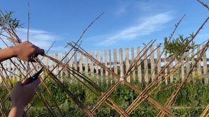 Русская ива. Мастер-класс. Плетём изгородь из ивы.