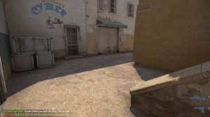 Karambit Lore (FT) + Driver gloves Snow leopard (BS)