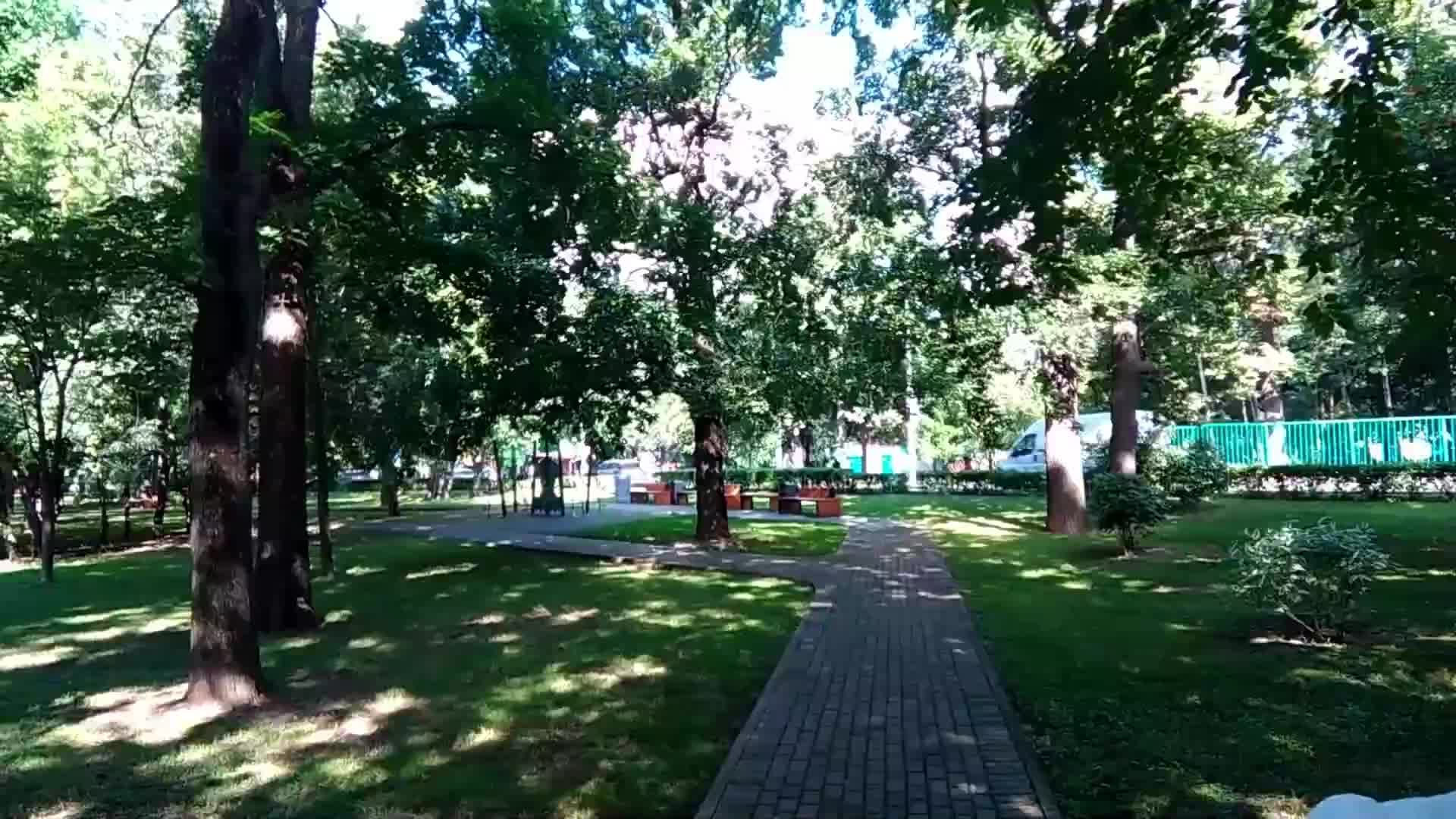 тест