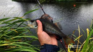 Осенний ультралайт 2024. Польза чередования приманок во время рыбалки