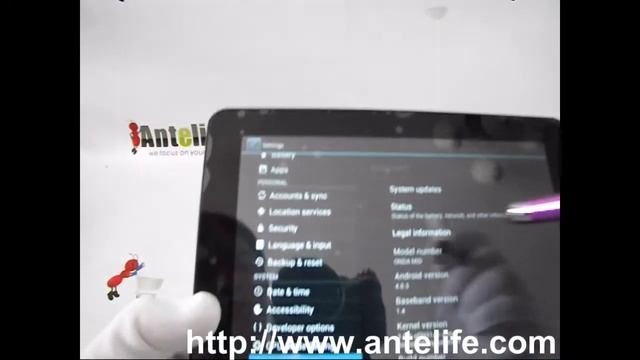 ONDA V811 Dual Core Version Tablet PC Android 4.0 8 Inch IPS Screen 16GB HDMI Camera Antelife.com смотреть онлайн