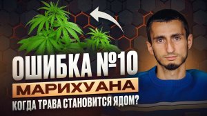 ОШИБКА №10 ВСЯ ПРАВДА О МАРИХУАНЕ. Что скрывают от вас и чего НЕ ЗНАЕТЕ о ее воздействии на мозг