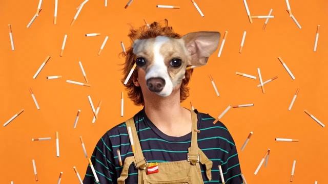 Mac DeMarco - Treat Her Better (Parody) смотреть онлайн