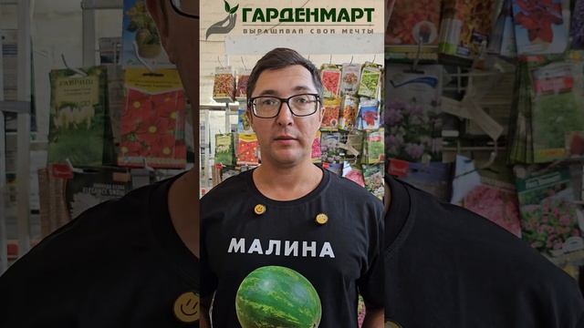 Как избавиться от хруща