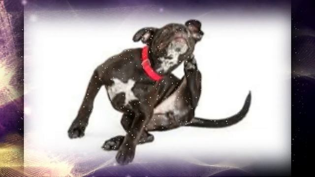 NO BUGS ON ME by Nick108 смотреть онлайн