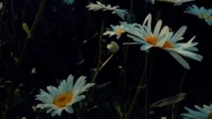 Рассказы - Я и моё детство - жизненные истории #мояистория #правдиваяистория #жизненныеистории